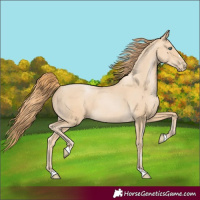 Horse Color:Smoky Black Pearl