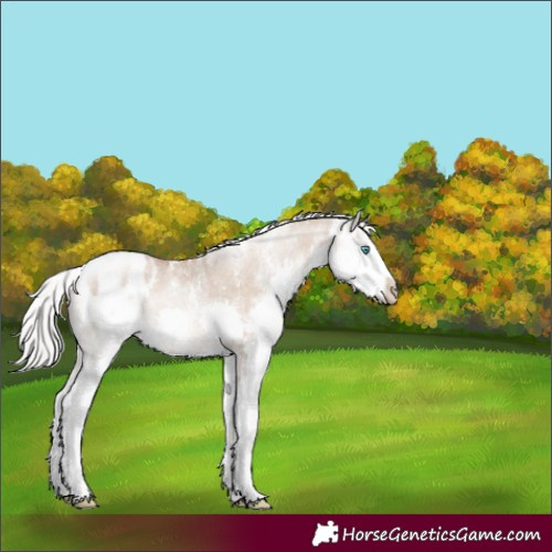 Horse Color:Powder White White Spotted Silver Brown Pearl Dun Splash Appaloosa Rabicano 
