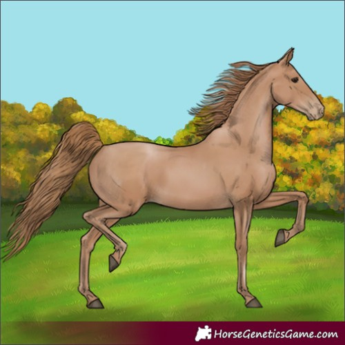 Horse Color:Black Pearl 