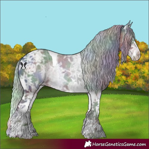 Horse Color:Nacre Silver Black Chinchilla Ice Tobiano Rabicano 