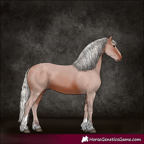 Horse Color:Silver Brown Tobiano 