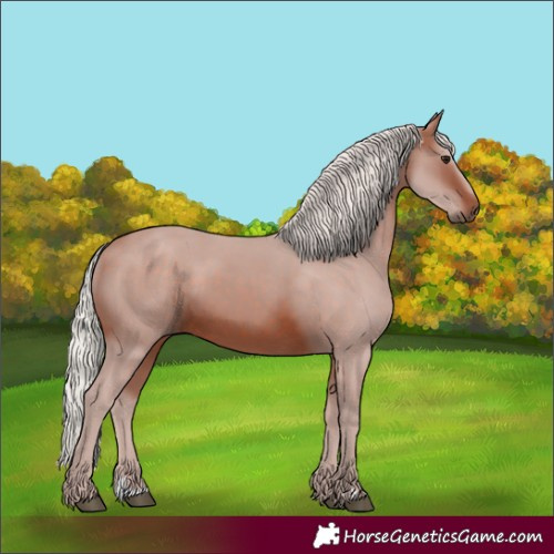 Horse Color:Silver Brown 