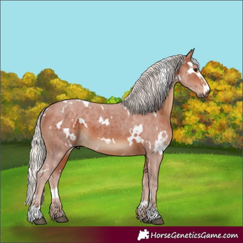 Horse Color:White Spotted Silver Brown 