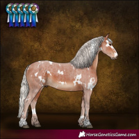 Horse Color:White Spotted Silver Brown