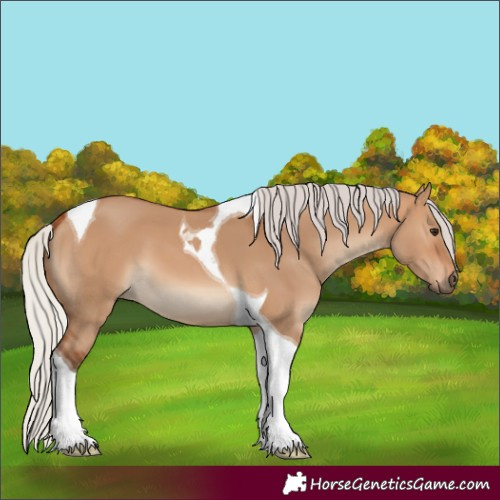 Horse Color:Silver Bay Dun Tobiano 
