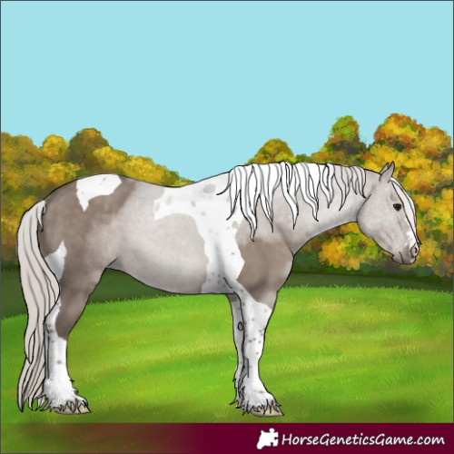 Horse Color:Silver Grullo Tobiano 
