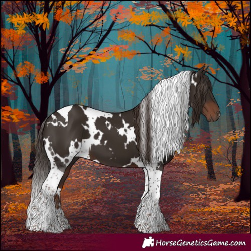 Horse Color:White Spotted Liver Chestnut Tobiano 
