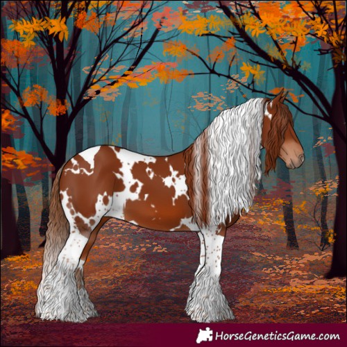 Horse Color:White Spotted Chestnut Tobiano 