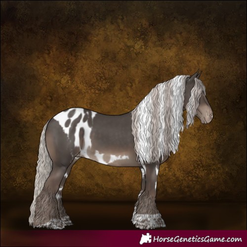 Horse Color:Silver Black Tobiano Skewed Appaloosa Rabicano 