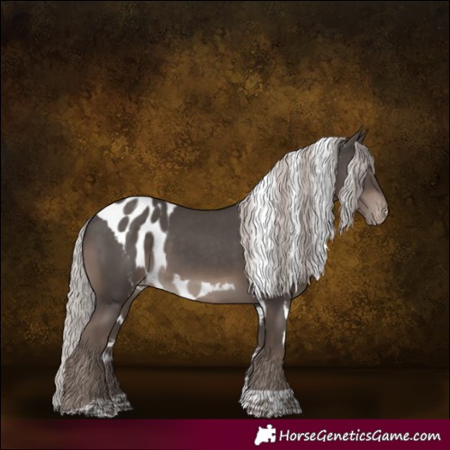 Horse Color:Silver Black Mushroom Tobiano Skewed LP Spotted Rabicano 