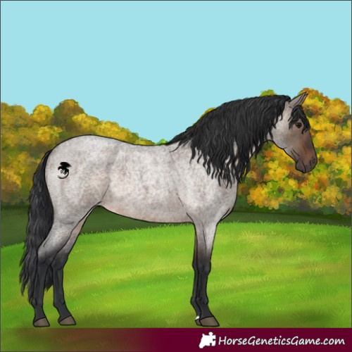 Horse Color:Brown Roan Dun