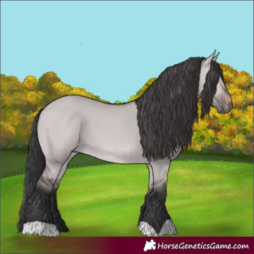 Horse Color:Platinum Brown Dun 