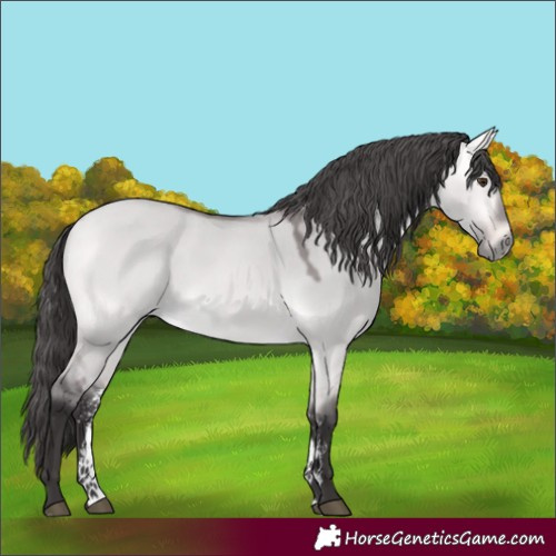Horse Color:Platinum Buckskin Dun Sabino