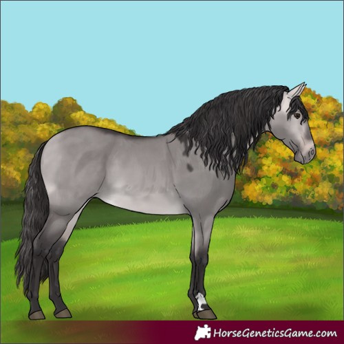 Horse Color:Platinum Buckskin Dun 