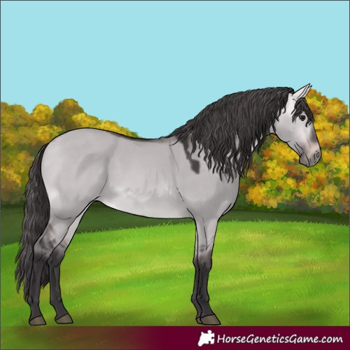 Horse Color:Platinum Buckskin Dun