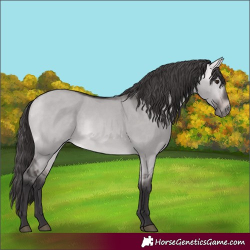 Horse Color:Platinum Buckskin Dun 