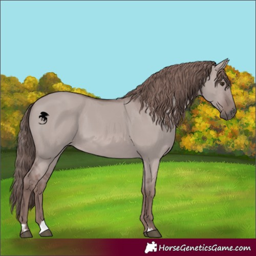 Horse Color:Platinum Red Dun