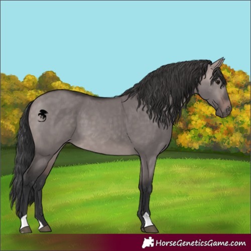 Horse Color:Platinum Bay Dun 