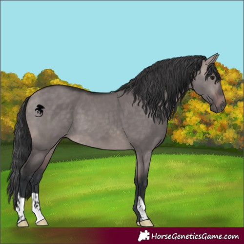 Horse Color:Platinum Bay Dun 