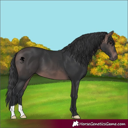 Horse Color:Platinum Bay