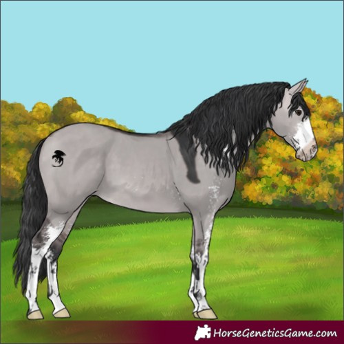 Horse Color:Platinum Bay Dun Sabino