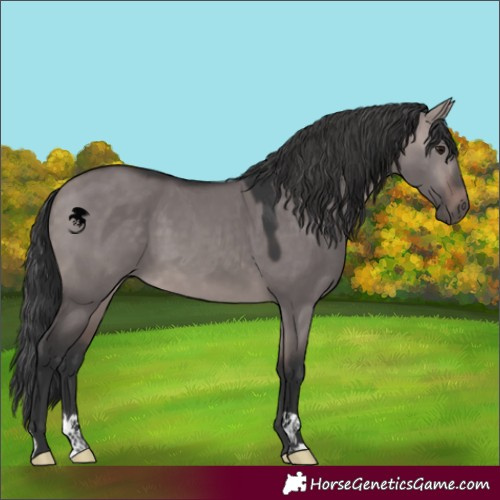 Horse Color:Platinum Bay Dun