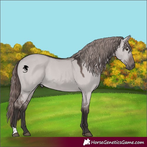 Horse Color:Platinum Liver Red Dun 