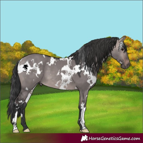 Horse Color:Platinum White Spotted Bay Dun 