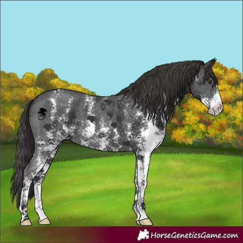 Horse Color:Platinum Liver Chestnut Sabino