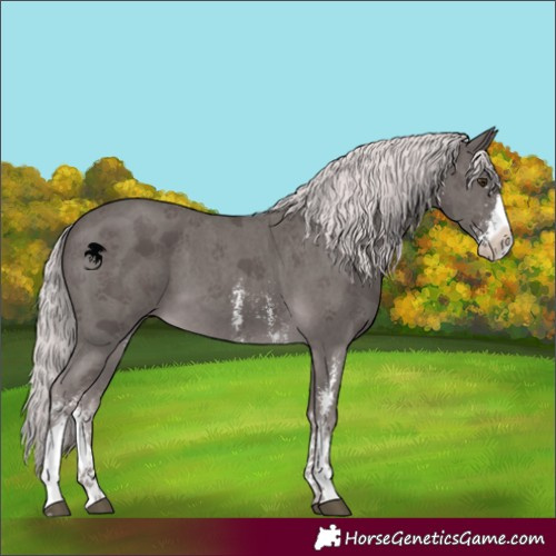 Horse Color:Platinum Chocolate Palomino Sabino