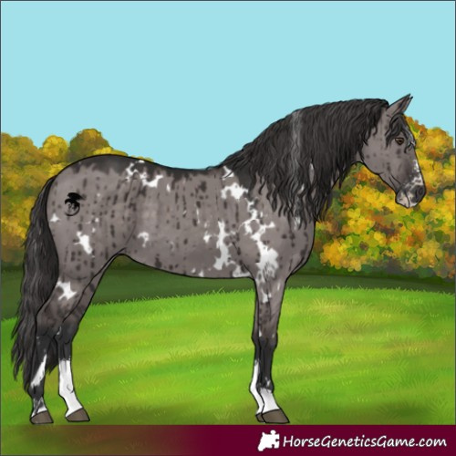 Horse Color:Platinum White Spotted Liver Red Dun Sabino Brindle 