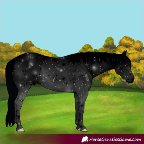 Horse Color:ERROR: UNKNOWN ANOMALY