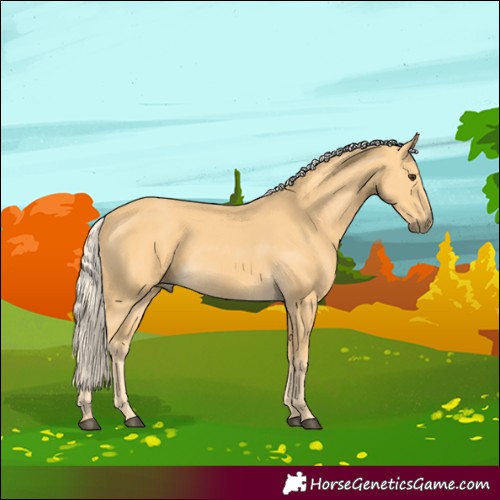 Horse Color:Palomino