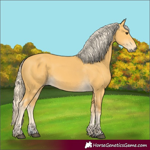 Horse Color:Palomino 