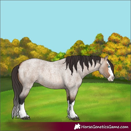 Horse Color:Bay Roan Dun Splash