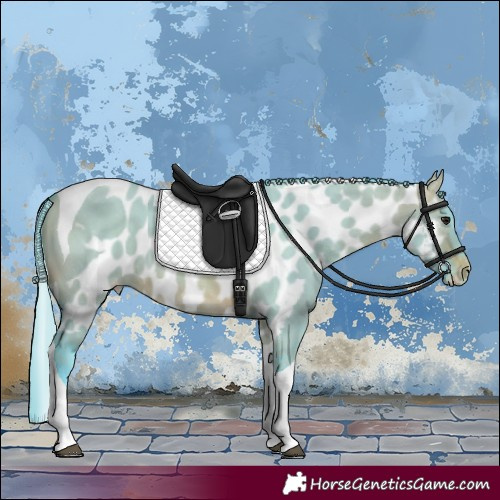 Horse Color:Watercolor Brown Dun Tobiano Skewed Appaloosa Rabicano