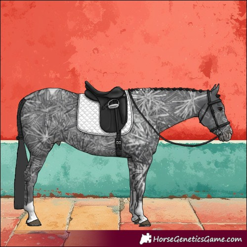 Horse Color:Black Ice Tobiano
