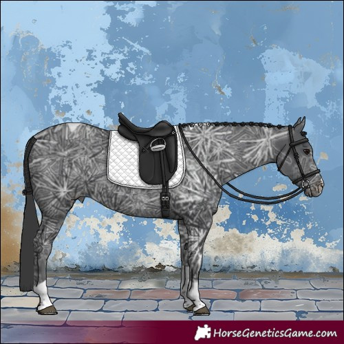 Horse Color:Black Ice Tobiano 