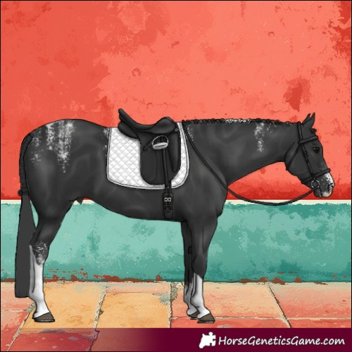 Horse Color:Powder White Black Tobiano 
