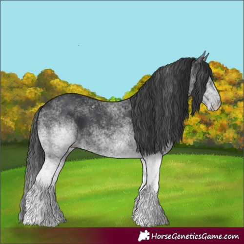 Horse Color:White Spotted Black 