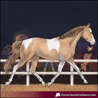 Horse Color:Gold Champagne Splash Tobiano 