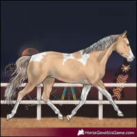 Horse Color:Gold Champagne Splash Tobiano 