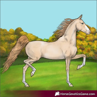 Horse Color:Smoky Black Pearl