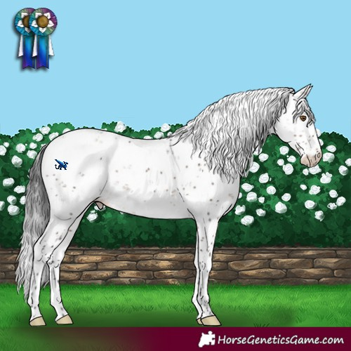 Horse Color:Brown Dun Mushroom Sabino Rabicano Brindle 