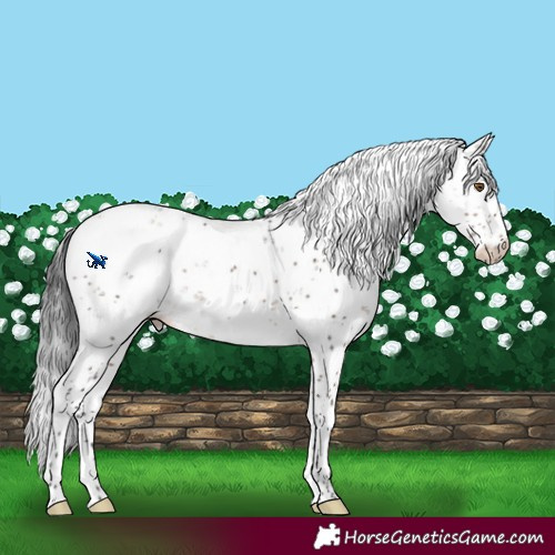 Horse Color:Brown Dun Mushroom Sabino Rabicano Brindle 