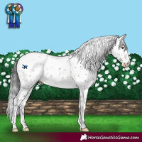 Horse Color:Brown Dun Mushroom Sabino Rabicano Brindle