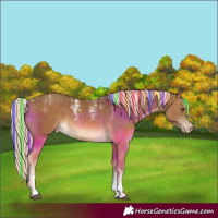 Horse Color:Powder White Painted Chocolate Palomino Appaloosa