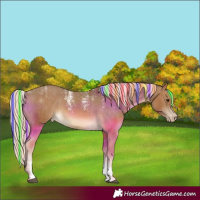 Horse Color:Powder White Painted Chocolate Palomino Appaloosa