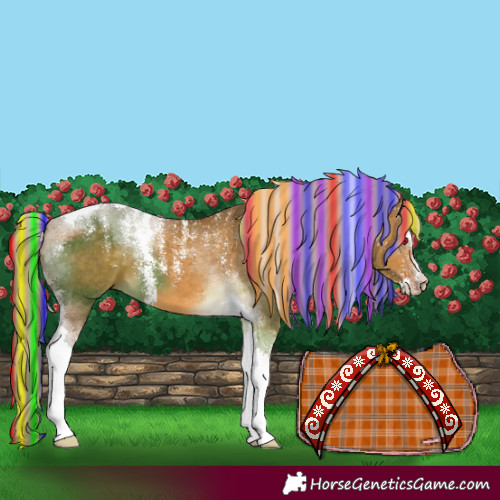 Horse Color:Powder White Painted Chocolate Palomino Dun Tobiano