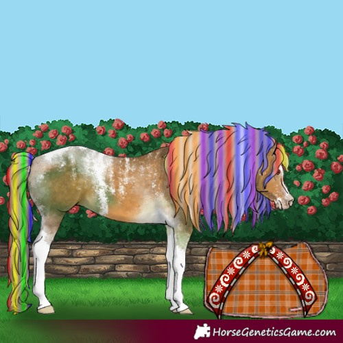 Horse Color:Powder White Painted Chocolate Palomino Dun Tobiano 